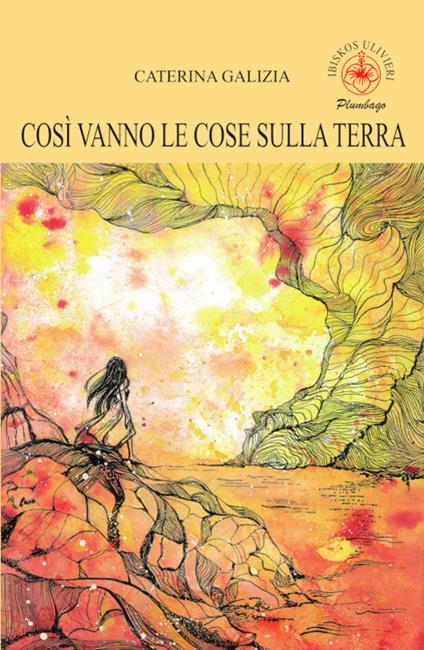 Così vanno le cose sulla terra - Caterina Galizia - copertina
