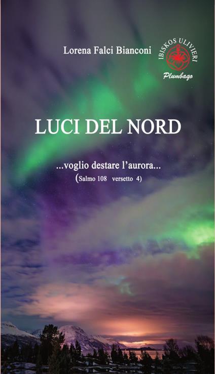 Luci del Nord. ...Voglio destare l'aurora... (Salmo 108 versetto 4) - Lorena Falci Bianconi - copertina