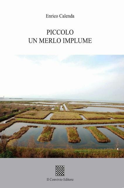 Piccolo un merlo implume - Enrico Calenda - copertina