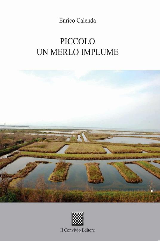 Piccolo un merlo implume - Enrico Calenda - copertina