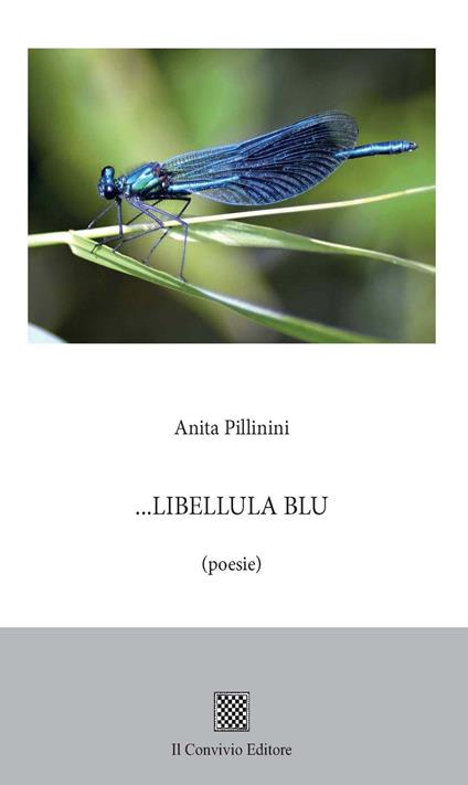 Libellula blu - Anita Pillinini - copertina