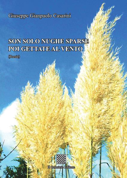 Son solo nughe sparse poi gettate al vento - Giuseppe Gianpaolo Casarini - copertina