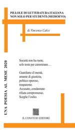 Pillole di letteratura