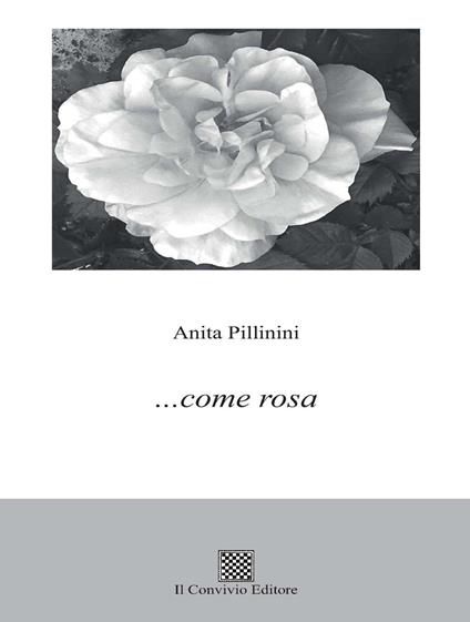 ... come rosa - Anita Pillinini - copertina