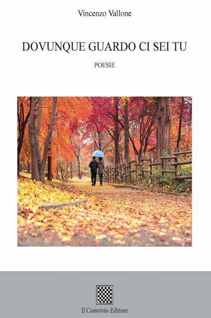 Dovunque guardo ci sei tu - Vincenzo Vallone - copertina