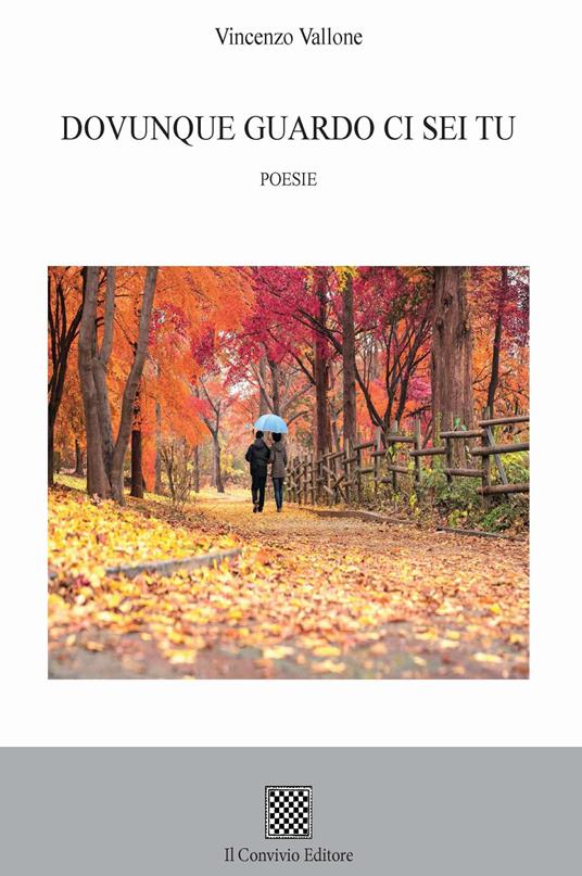 Dovunque guardo ci sei tu - Vincenzo Vallone - copertina