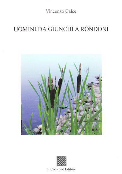 Uomini da giunchi a rondoni - Vincenzo Calce - copertina