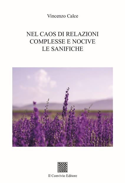 Nel caos di relazioni complesse le sanifiche - Vincenzo Calce - copertina