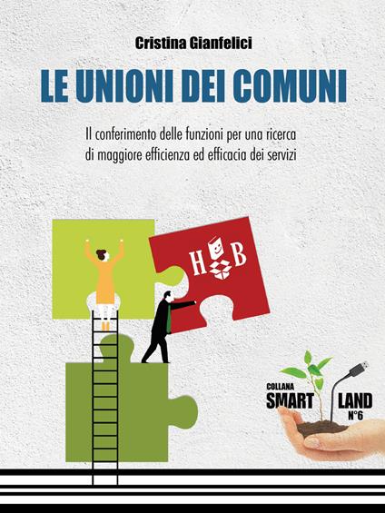 Le unioni dei Comuni. Il conferimento delle funzioni per una ricerca di maggiore efficienza ed efficacia dei servizi - Cristina Gianfelici - copertina