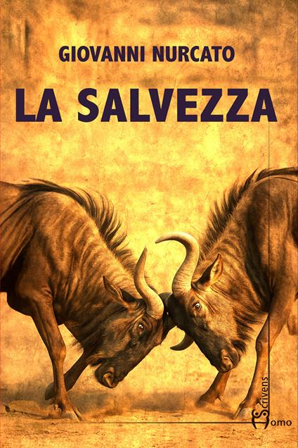 La salvezza - Giovanni Nurcato - copertina