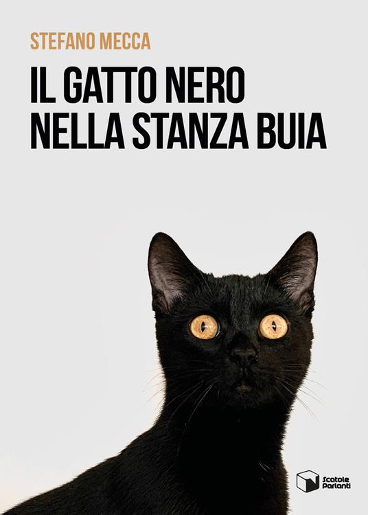 Il gatto nero nella stanza buia - Stefano Mecca - copertina