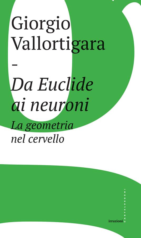 Da Euclide ai neuroni. La geometria nel cervello - Giorgio Vallortigara - copertina