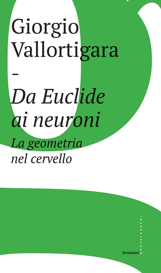 Da Euclide ai neuroni. La geometria nel cervello - Giorgio Vallortigara - ebook