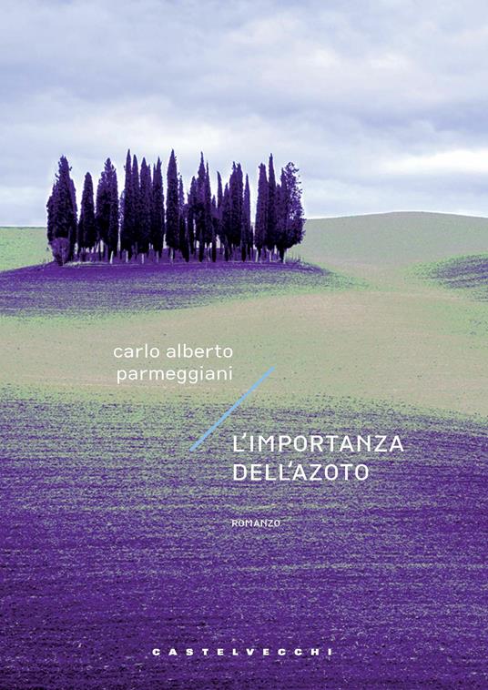 L'importanza dell'azoto - Carlo Alberto Parmeggiani - copertina