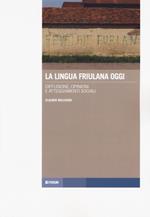 La lingua friulana oggi. Diffusione, opinioni e atteggiamenti sociali