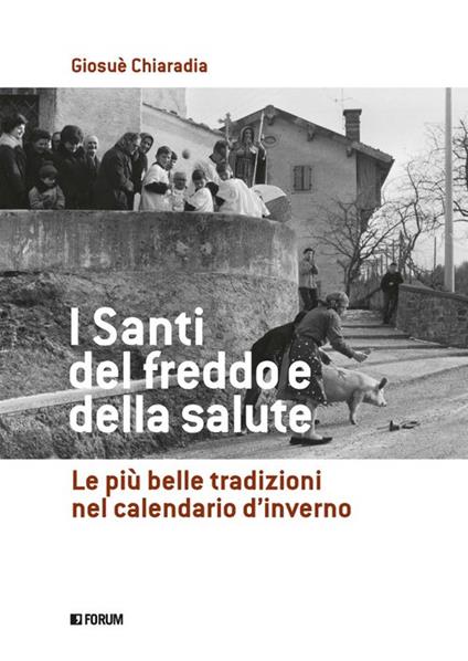 I santi del freddo e della salute - Giosuè Chiaradia - copertina