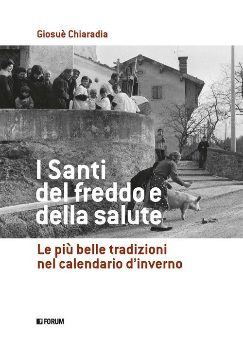 I santi del freddo e della salute - Giosuè Chiaradia - copertina