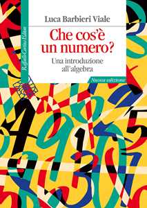 Libro Che cos'è un numero? Una introduzione all'algebra. Nuova ediz. Luca Barbieri Viale