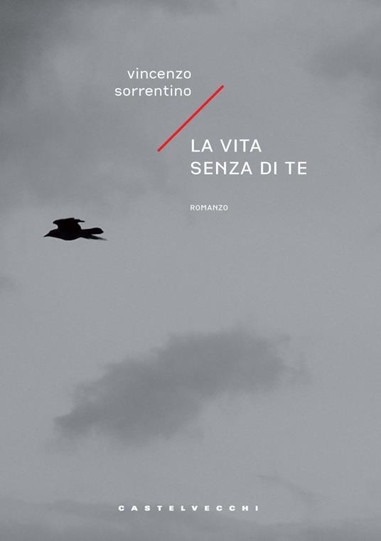 La vita senza di te - Vincenzo Sorrentino - copertina