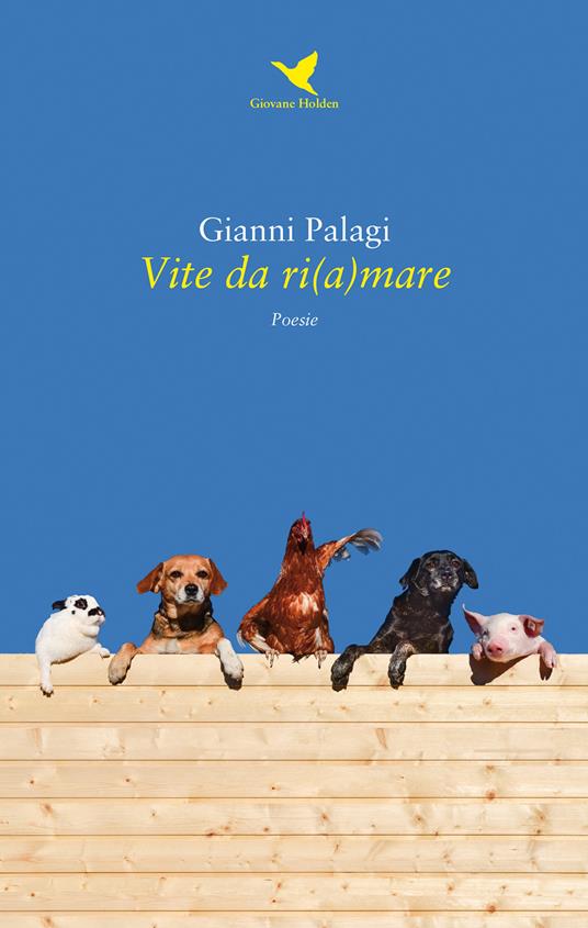 Vite da ri(a)mare - Gianni Palagi - copertina
