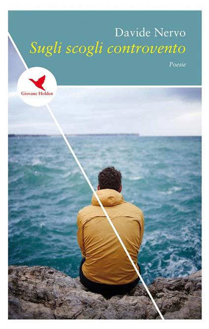 Sugli scogli controvento - Davide Nervo - ebook