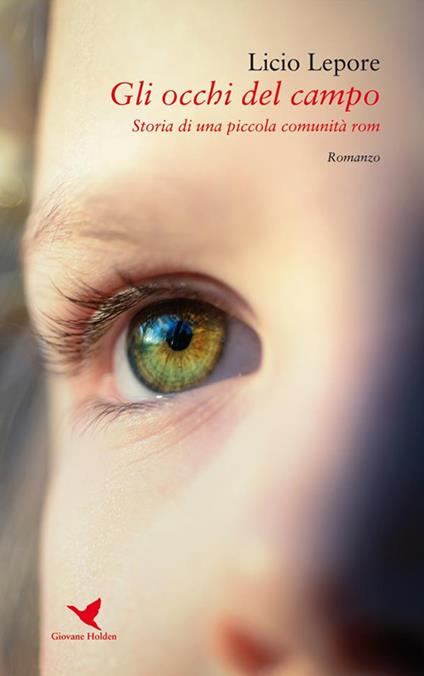 Gli occhi del campo. Storia di una piccola comunità rom - Licio Lepore - ebook