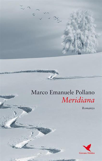Meridiana - Marco Emanuele Pollano - ebook