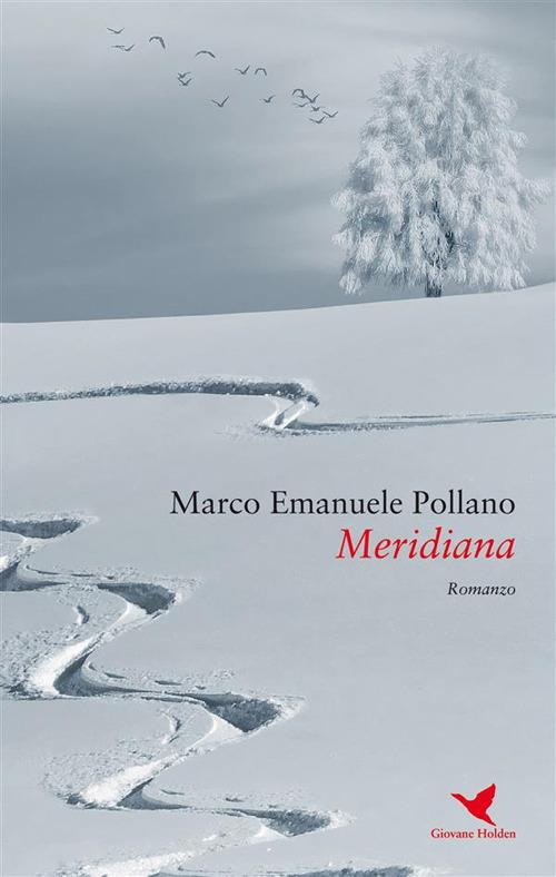 Meridiana - Marco Emanuele Pollano - ebook