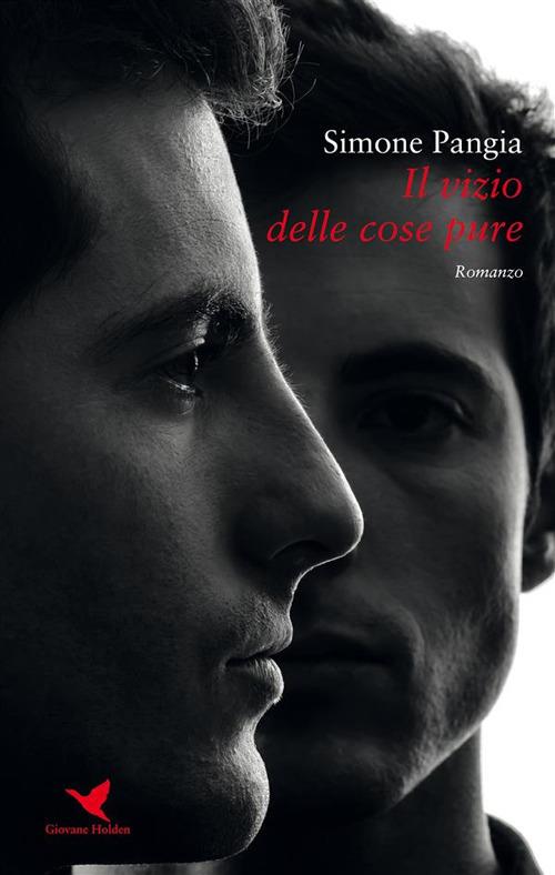 Il vizio delle cose pure - Simone Pangia - ebook
