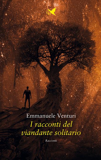 I racconti del viandante solitario - Emmanuele Venturi - copertina
