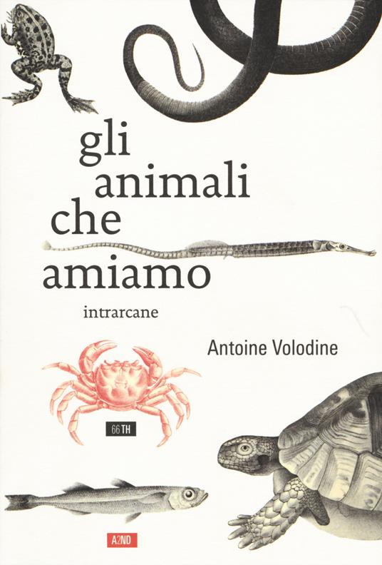 Gli animali che amiamo - Antoine Volodine - copertina