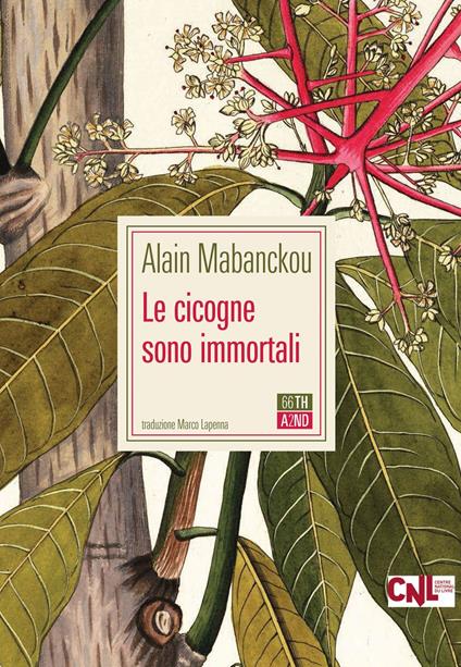 Le cicogne sono immortali - Alain Mabanckou,Marco Lapenna - ebook