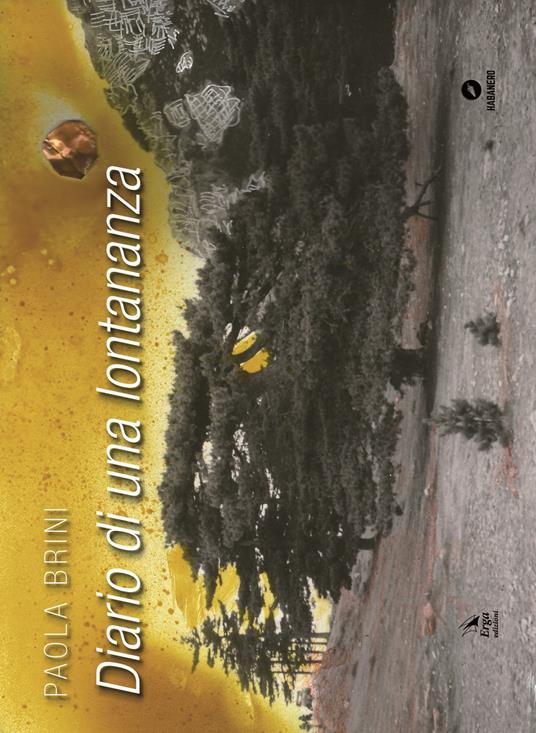 Diario di una lontananza. Ediz. a colori - Paola Brini - copertina