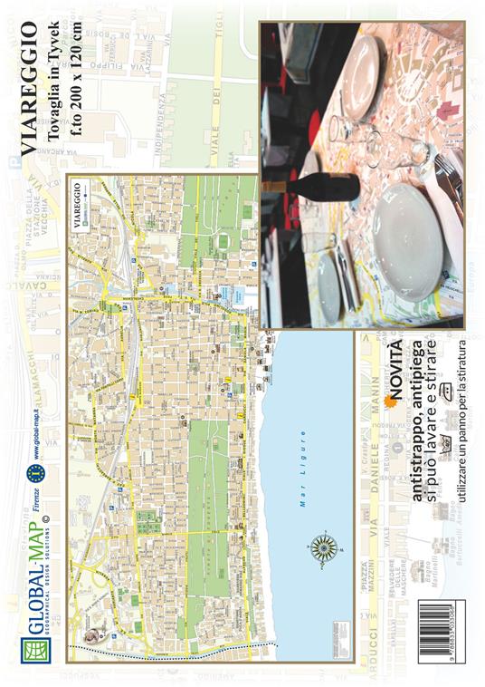 Viareggio (carta in Tyvek cm 200x120) - copertina