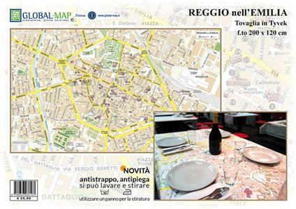 Reggio nell'Emilia (carta in Tyvek cm 200x120) - copertina