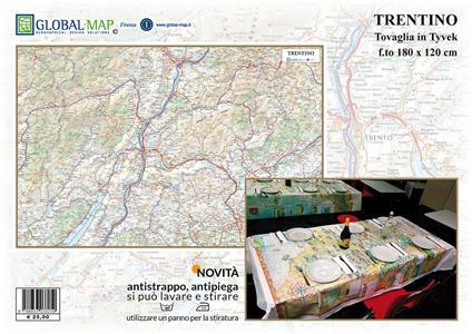 Trentino (carta in Tyvek cm 180x120) - copertina