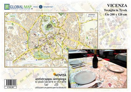 Vicenza (carta in Tyvek cm 200x120) - copertina