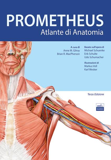 Prometheus. Altante di anatomia - Anne M. Gilroy,Brian R. MacPherson,Lawrence M. Ross - copertina