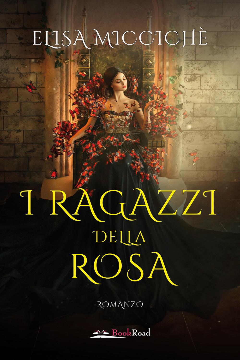 Libraccio