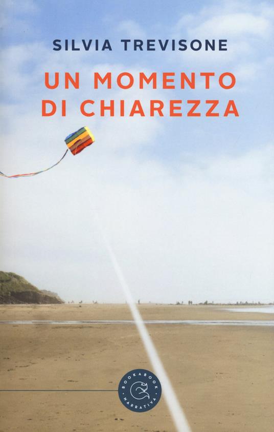Un momento di chiarezza - Silvia Trevisone - copertina