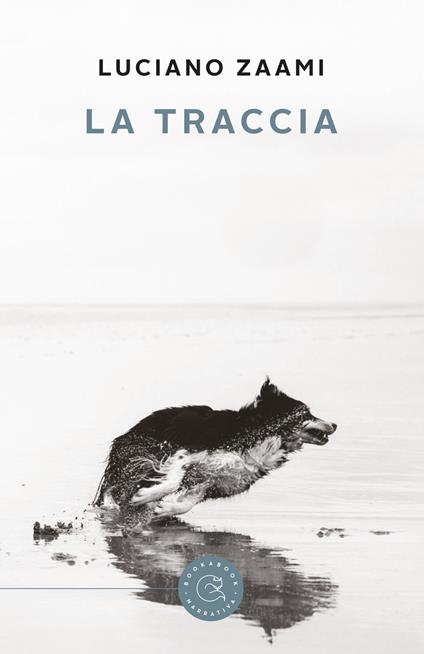La traccia - Luciano Zaami - copertina