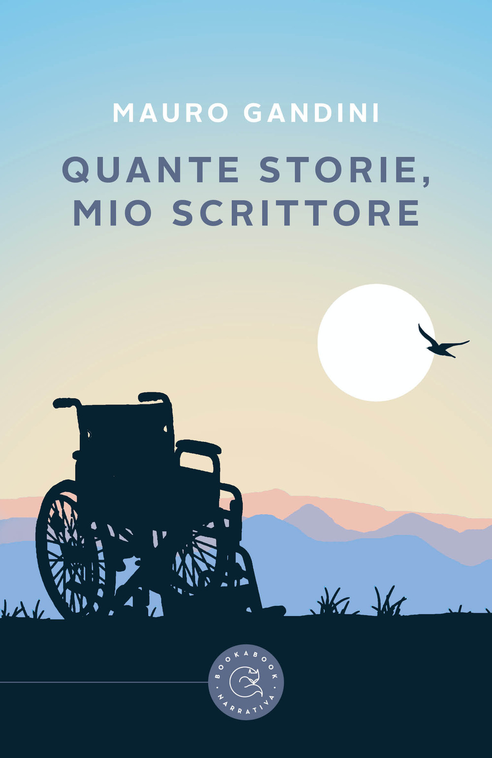 Libraccio