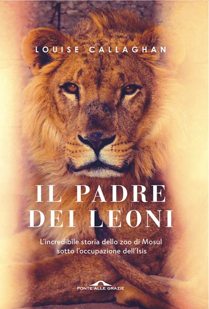 Il Padre dei leoni - Louise Callaghan - copertina