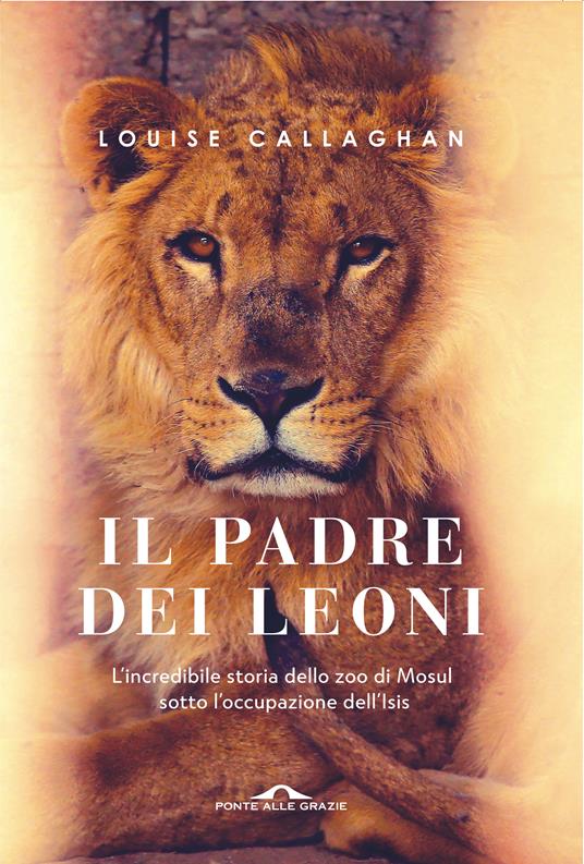 Il Padre dei leoni - Louise Callaghan - copertina