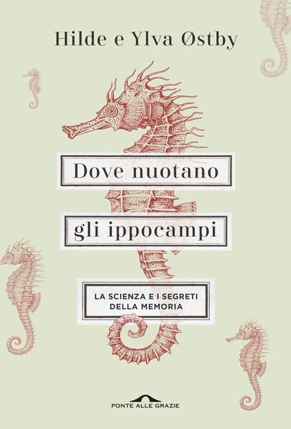 Dove nuotano gli ippocampi. La scienza e i segreti della memoria - Ylva Østby,Hilde Østby - copertina