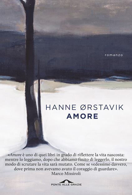 Amore - Hanne Ørstavik,Luigi Spagnol - ebook