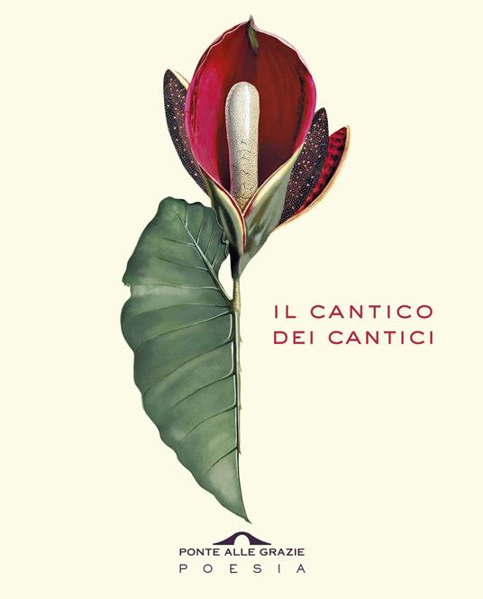Il cantico dei cantici. Testo ebraico a fronte - copertina