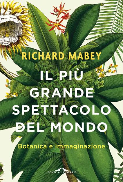 Il più grande spettacolo del mondo. Botanica e immaginazione - Richard Mabey - copertina