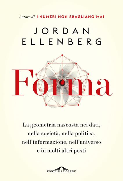 Forma. La geometria nascosta nei dati, nella società, nella politica, nell'informazione, nell'universo e in molti altri posti - Jordan Ellenberg - ebook