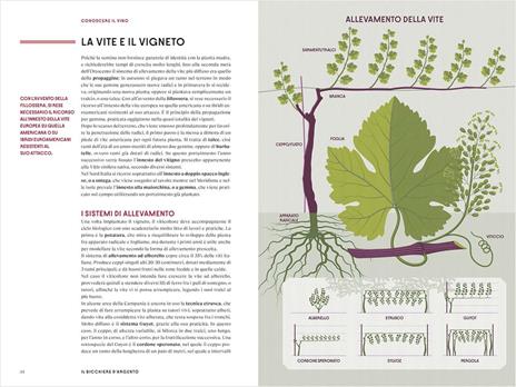 Il Bicchiere d'Argento - 2